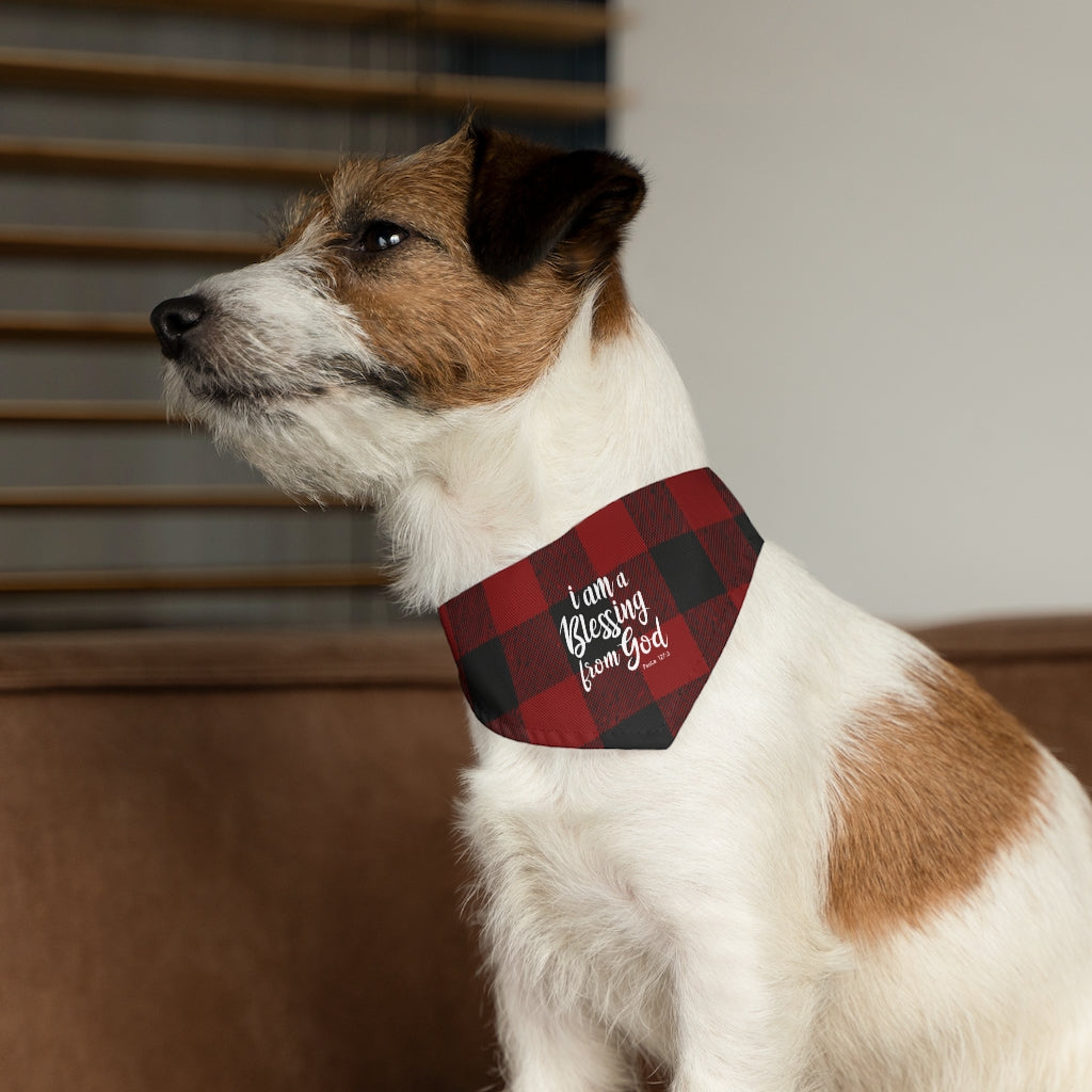 Blessing Pet Bandana Collar