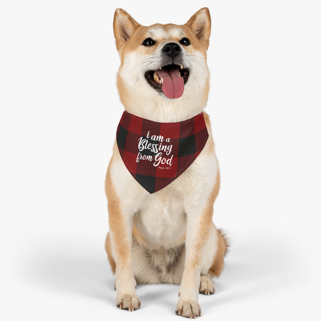 Blessing Pet Bandana Collar