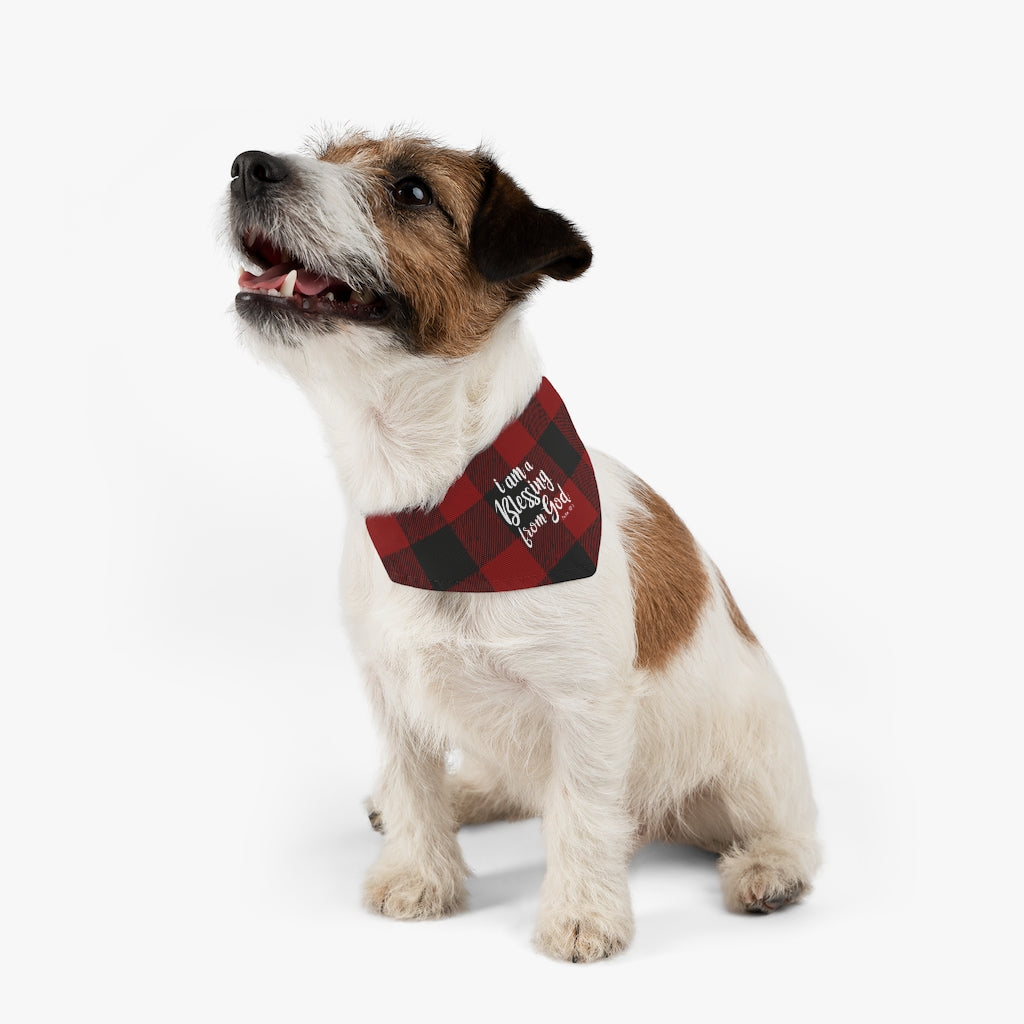 Blessing Pet Bandana Collar